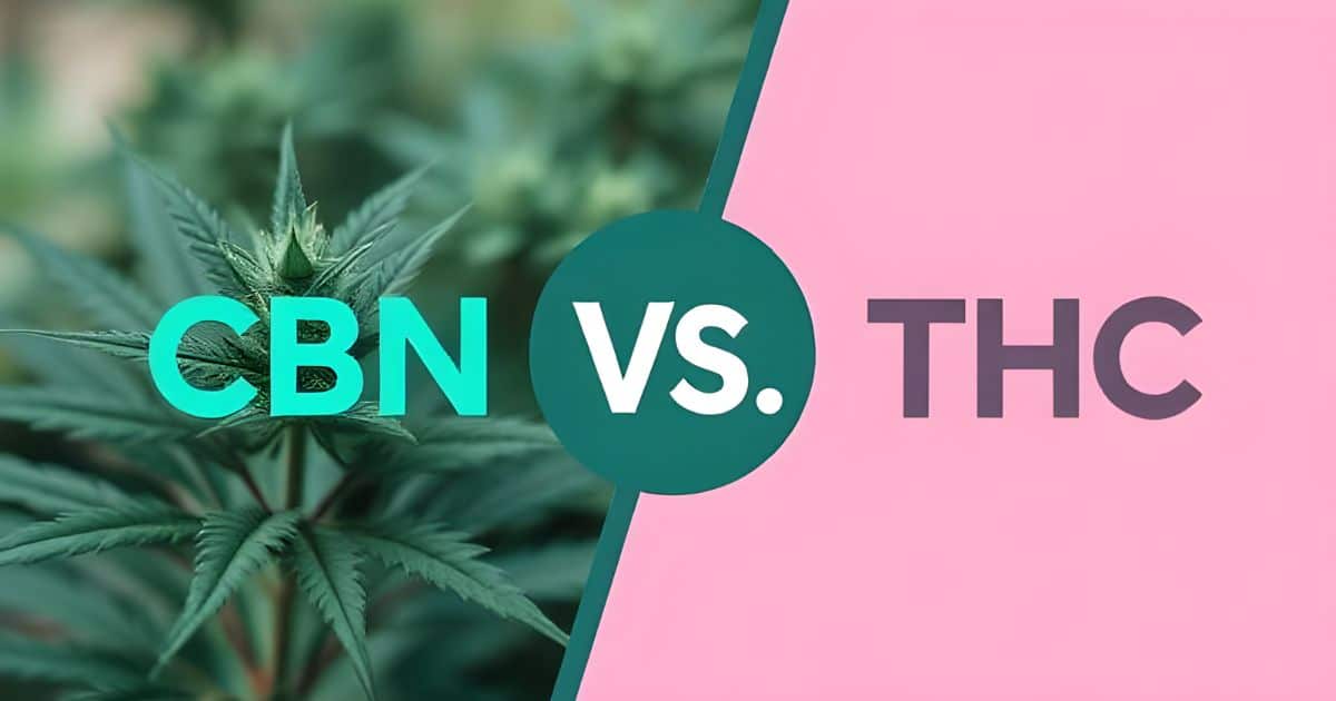 cbn vs thc