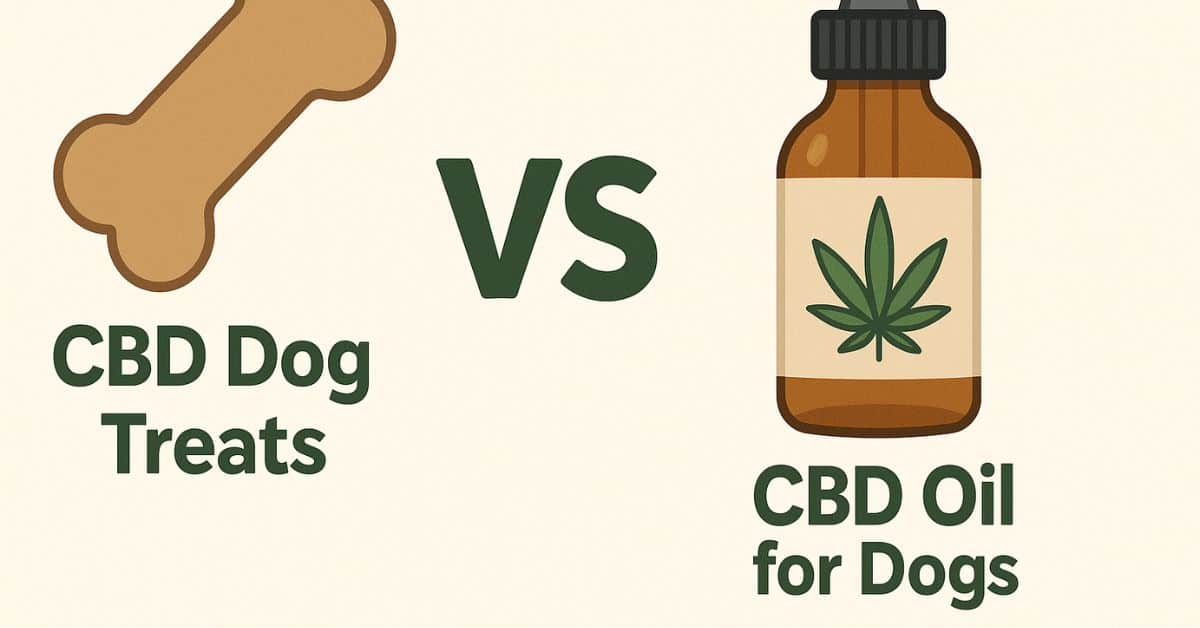 A split-screen illustration comparing CBD dog treats and CBD oil for dogs, featuring a dog bone treat on the left and a CBD oil dropper bottle with a cannabis leaf on the right, with "VS" in bold between them.