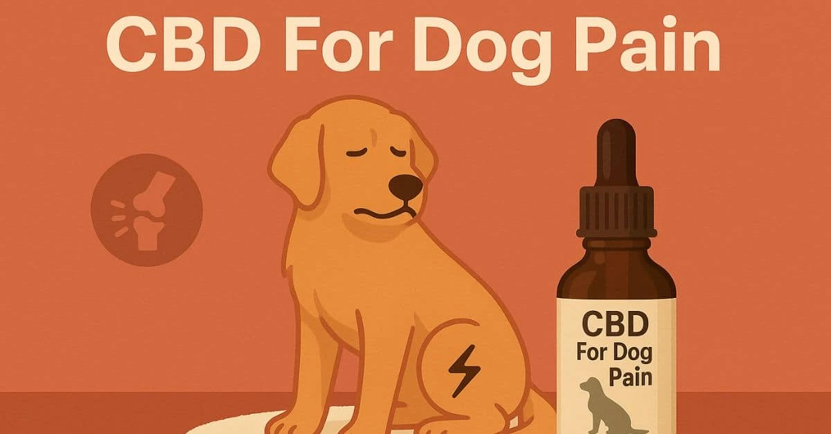 dog with a pain symbol on its leg, sitting beside a labeled CBD oil bottle, with the text "CBD For Dog Pain" on a warm orange background