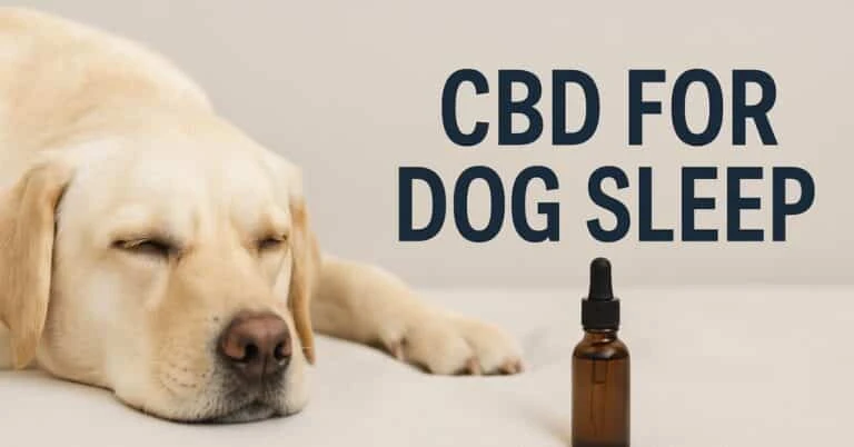 A peaceful image featuring a sleeping dog beside a CBD oil bottle on a calming dark background with the title “CBD for Dog Sleep.”