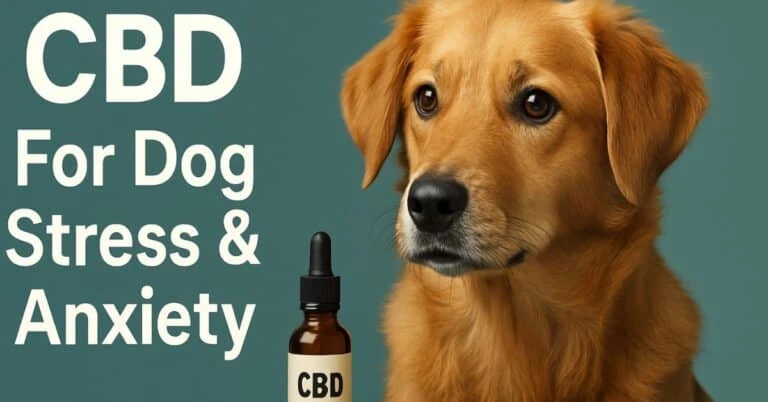 a relaxed dog lying next to a CBD oil bottle with soft, neutral background colors and the bold title “CBD for Dog Stress & Anxiety.”
