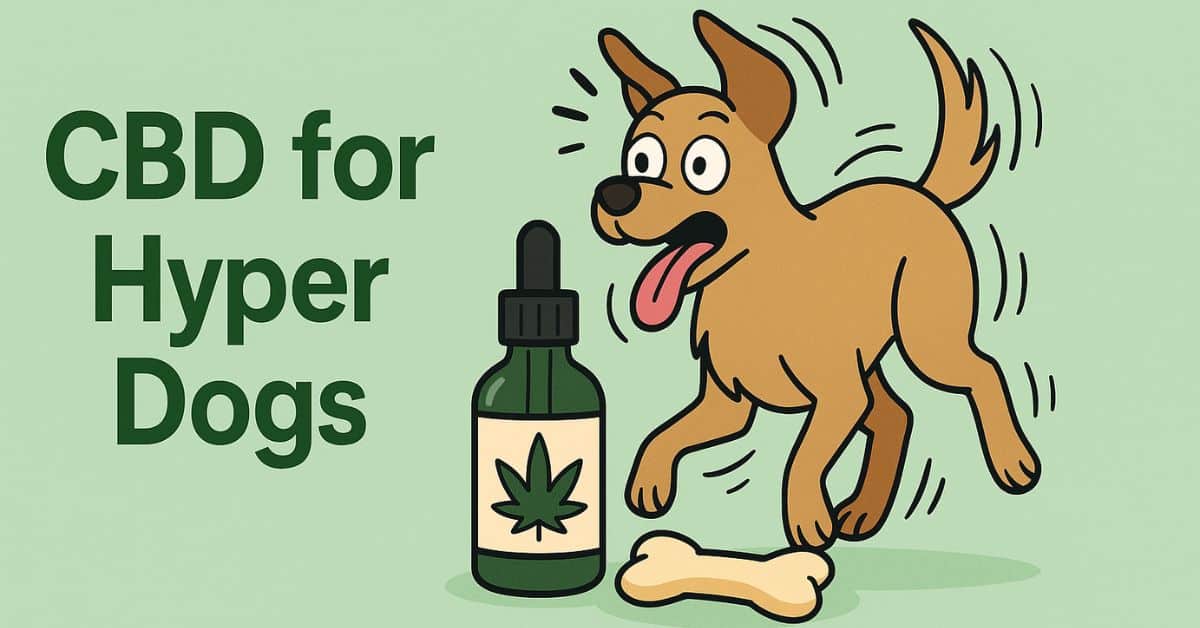 an energetic dog with movement lines around its body, playfully jumping beside a CBD oil bottle and a bone, with the title “CBD for Hyper Dogs” in bold green text on a soft green background