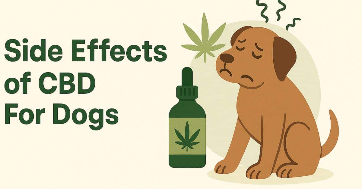 A cartoon-style image of a sad brown dog sitting beside a CBD oil bottle with a cannabis leaf, accompanied by the blog title "Side Effects of CBD For Dogs" in bold green text