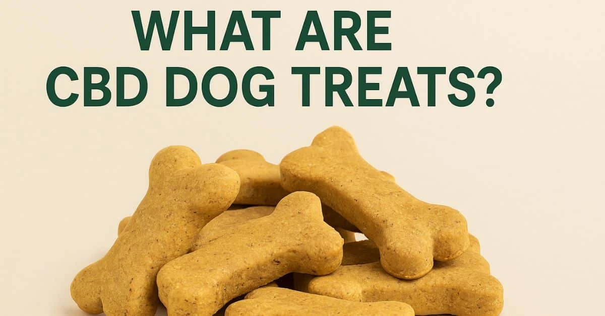A clean, modern image showing a stack of bone-shaped CBD dog treats on a beige background, with the bold green text "What Are CBD Dog Treats?" centered above.