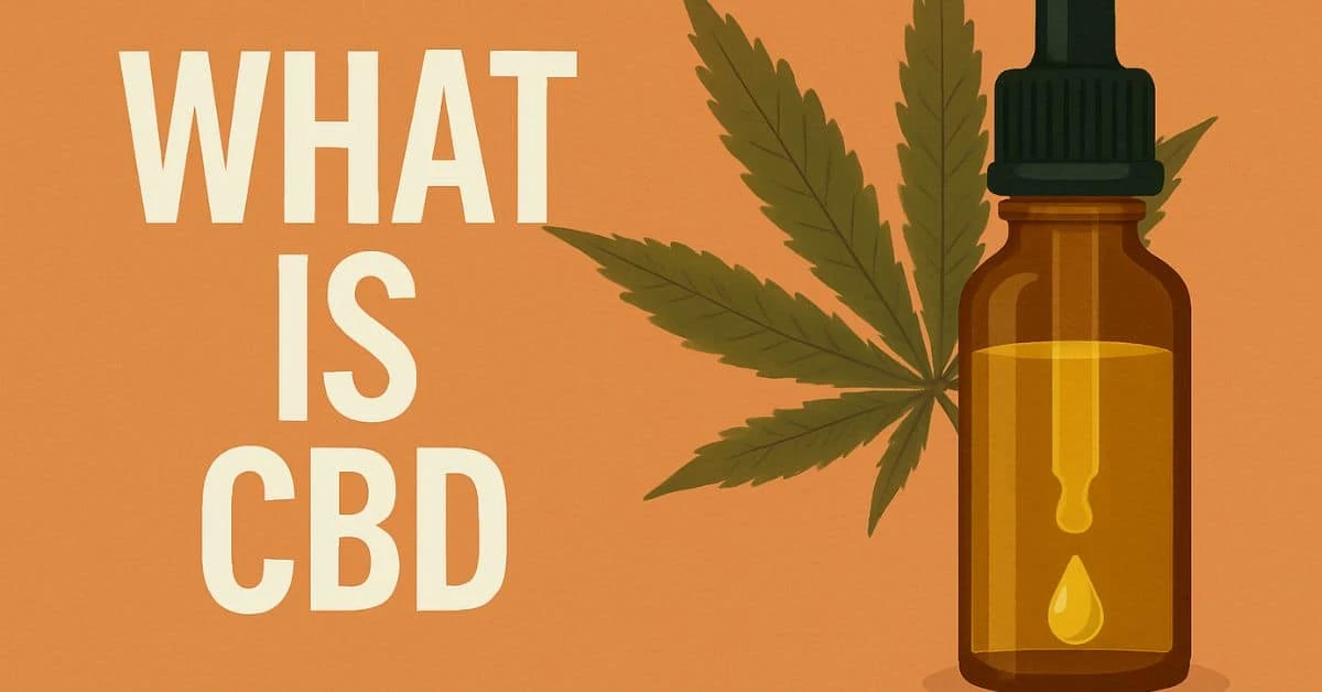 a CBD oil dropper bottle with a cannabis leaf in the background and the text “What Is CBD” on an orange background