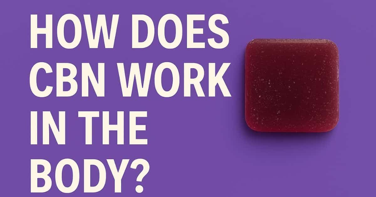 Purple background design with a gummy and bold vertical white text reading ‘How Does CBN Work in the Body?’
