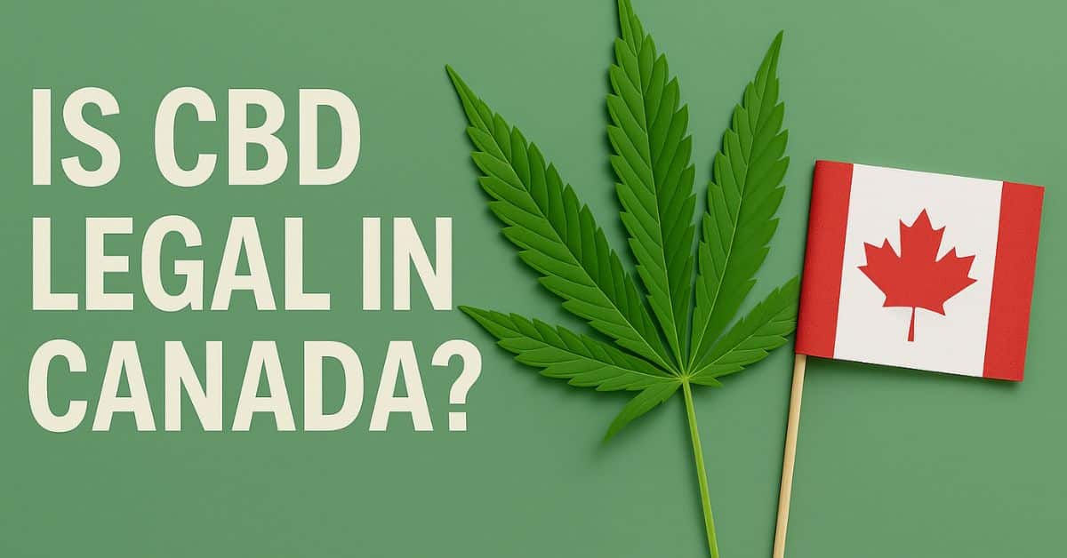 Green background with cannabis leaf, Canadian flag, and CBD oil bottle beside bold text reading “Is CBD Legal in Canada?”